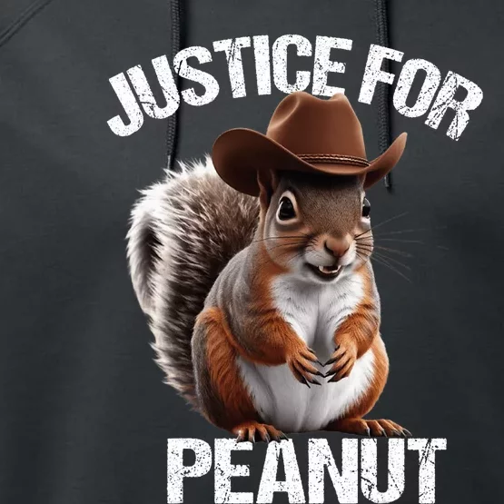 Justice For Peanut The Squirrel Peanut Squirrel Trending Design Performance Fleece Hoodie