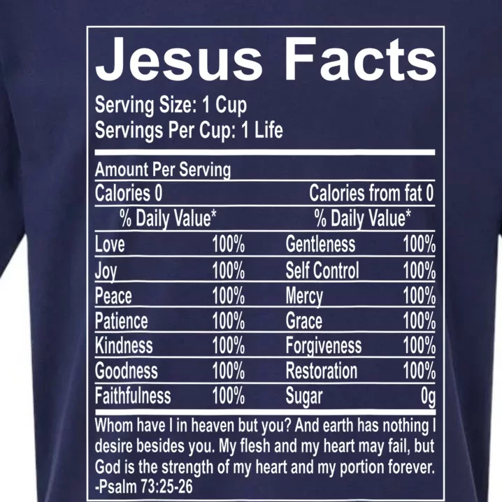 Jesus Facts Religious Studies Catholicism Sueded Cloud Jersey T-Shirt