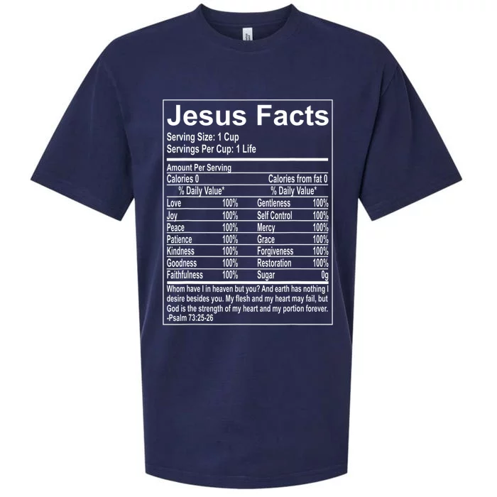 Jesus Facts Religious Studies Catholicism Sueded Cloud Jersey T-Shirt