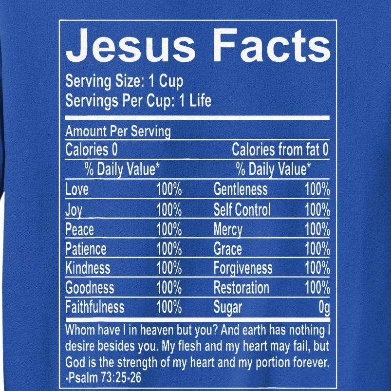 Jesus Facts Religious Studies Catholicism Sweatshirt