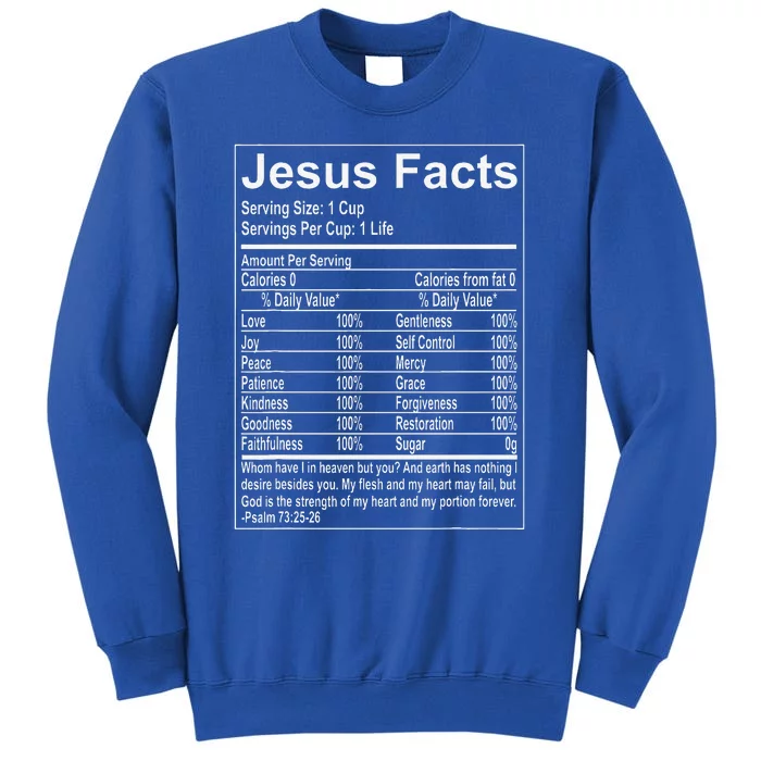 Jesus Facts Religious Studies Catholicism Sweatshirt