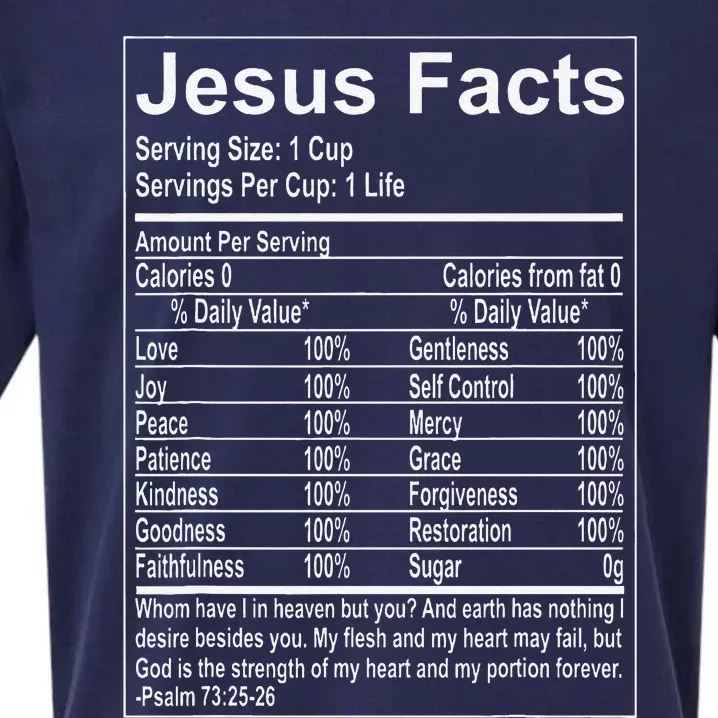 Jesus Facts Religious Studies Catholicism Sueded Cloud Jersey T-Shirt