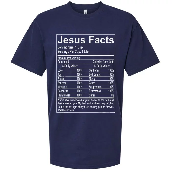 Jesus Facts Religious Studies Catholicism Sueded Cloud Jersey T-Shirt