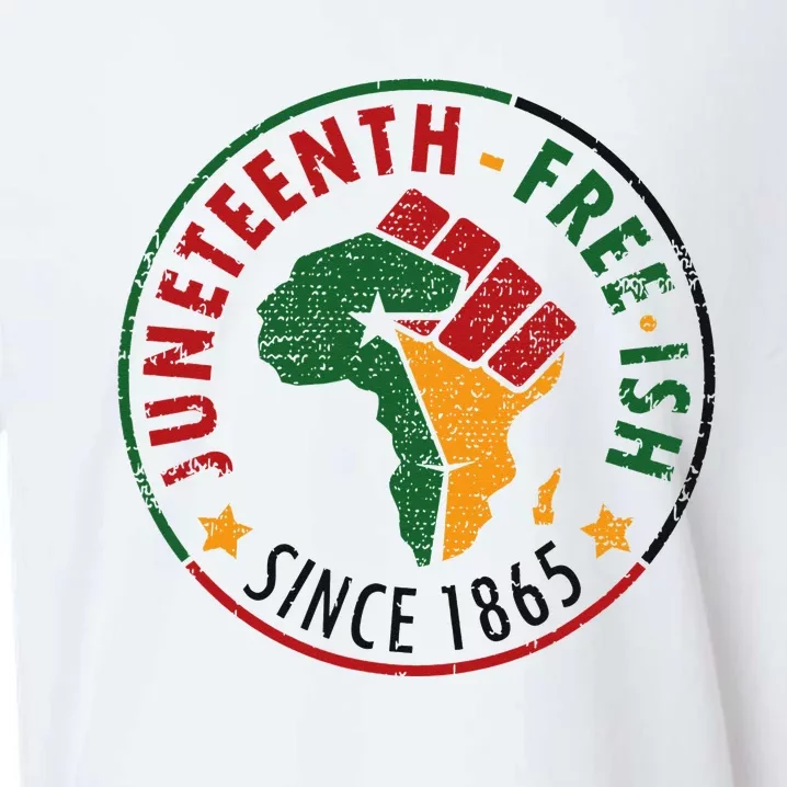 juneteenth freeish since 1865 Sueded Cloud Jersey T-Shirt