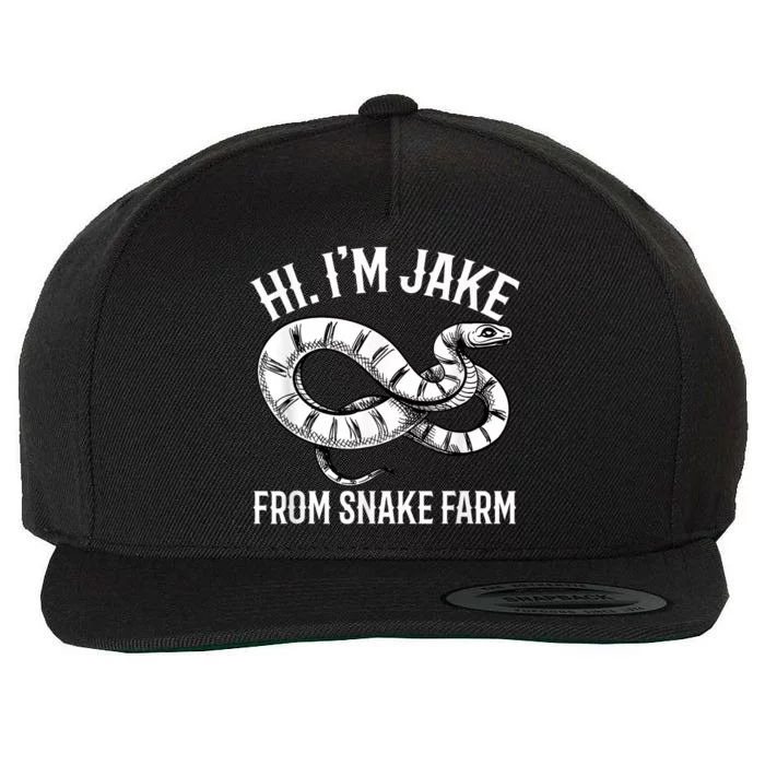 Jake From Snake Farm Rattlesnake Pit Funny Snake Wool Snapback Cap