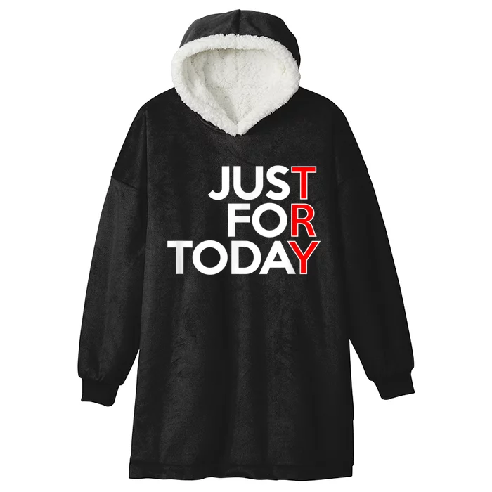 JUST FOR TODAY TRY Alcoholics AA Narcotics NA Anonymous Hooded Wearable Blanket