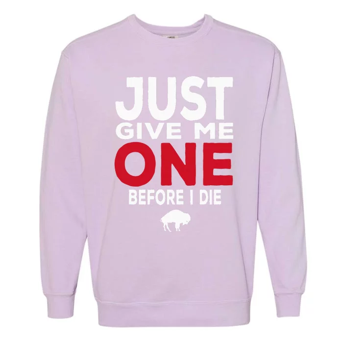 Just Give Me One Before I Die Funny Garment-Dyed Sweatshirt