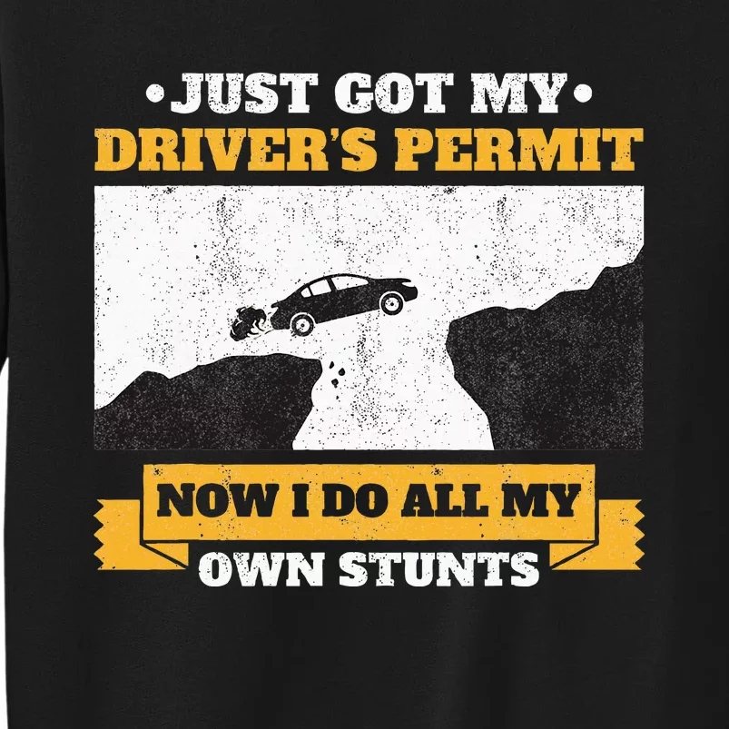 Just Got My Drivers Permit License Stunts New N Driver Sweatshirt