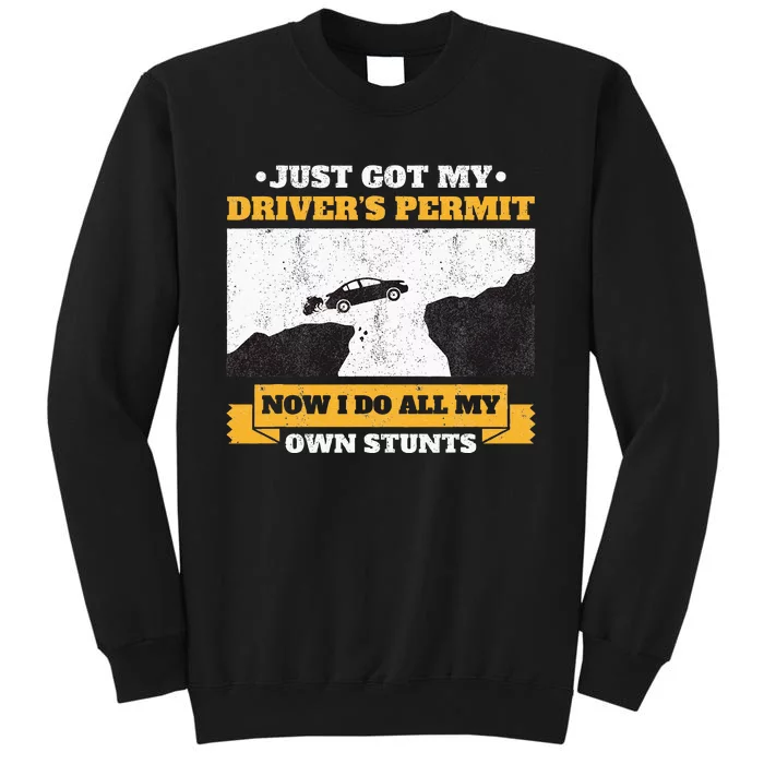 Just Got My Drivers Permit License Stunts New N Driver Sweatshirt