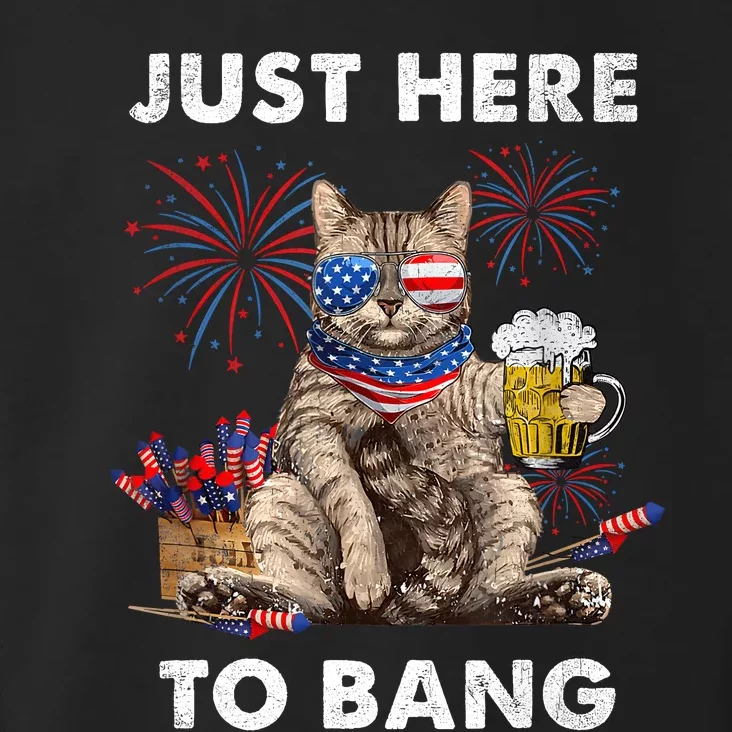 Just Here To Bang USA Flag Funny Beer 4th Of July Cat Love Toddler Hoodie