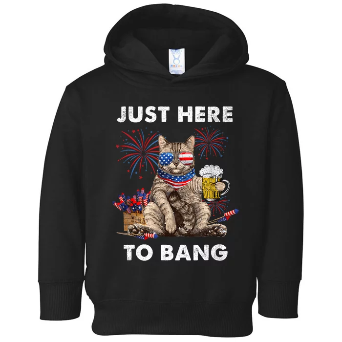 Just Here To Bang USA Flag Funny Beer 4th Of July Cat Love Toddler Hoodie