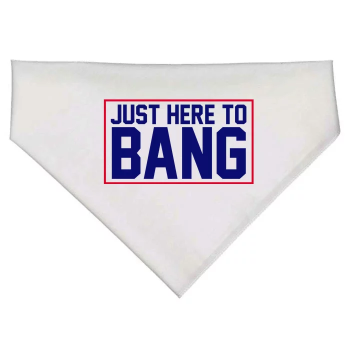 Just Here To Bang 4th Of July USA-Made Doggie Bandana