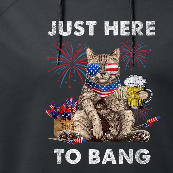 Just Here To Bang USA Flag Funny Beer 4th Of July Cat Lover Performance Fleece Hoodie