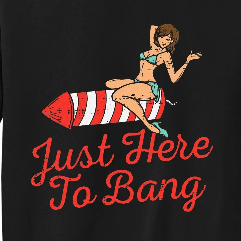 Just Here To Bang Fireworks Funny 4th of July Sweatshirt