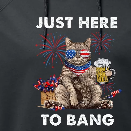 Just Here To Bang Usa Flag Funny Beer 4th Of July Cat Lover Performance Fleece Hoodie