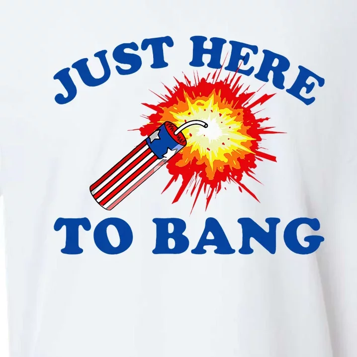 Just Here To Bang Funny Exploding Bang Saying Sueded Cloud Jersey T-Shirt