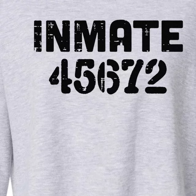 Jail Inmate 45672 Funny Prisoner Halloween Prison Funny Funny Cropped Pullover Crew