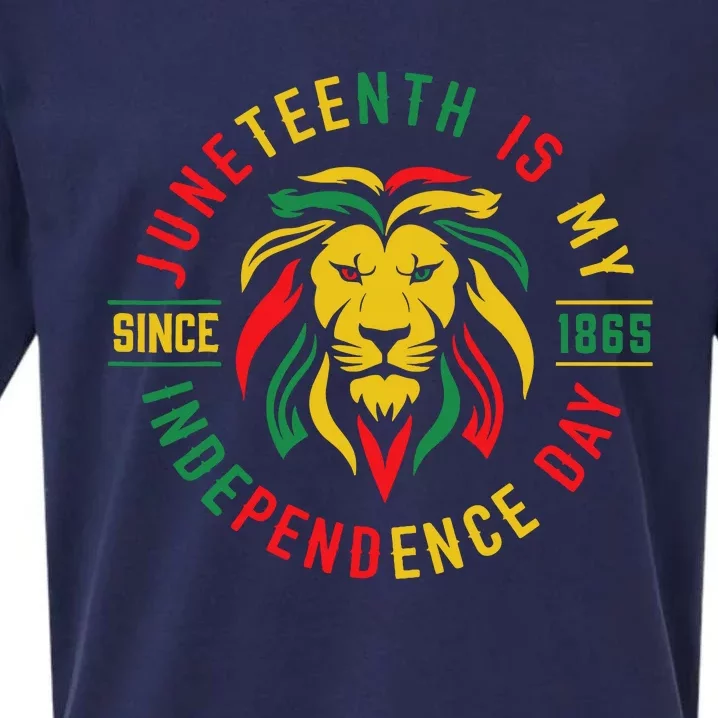 Juneteenth Is My Independence Day Lion Free Ish Since 1865 Sueded Cloud Jersey T-Shirt