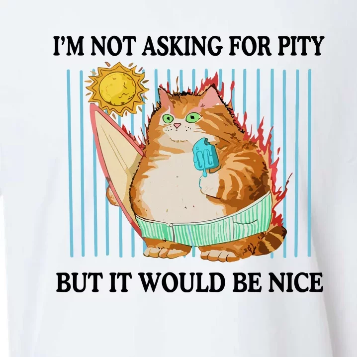 Jmcgg IM Not Asking For Pity But It Would Be Nice Sueded Cloud Jersey T-Shirt