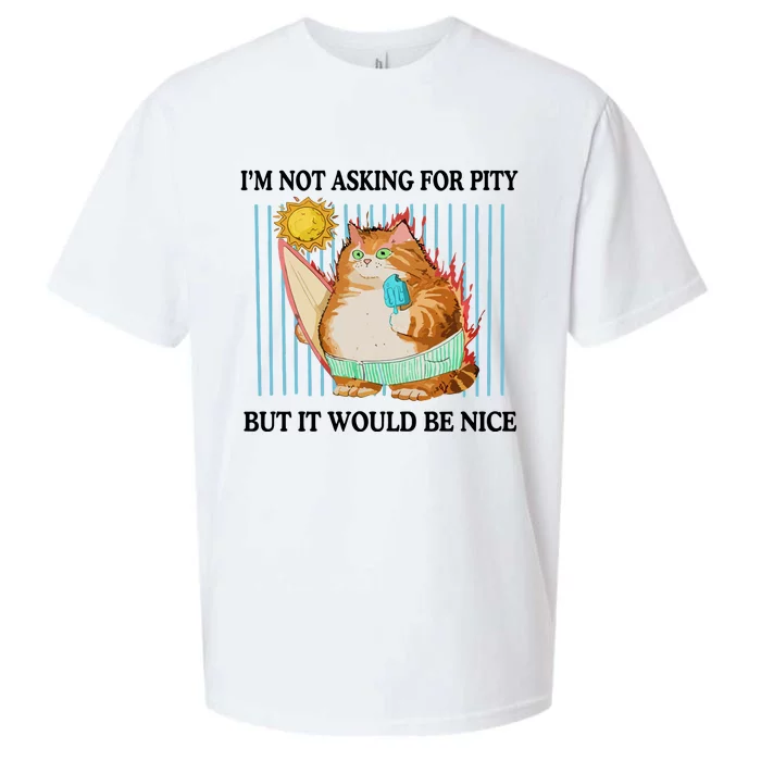 Jmcgg IM Not Asking For Pity But It Would Be Nice Sueded Cloud Jersey T-Shirt