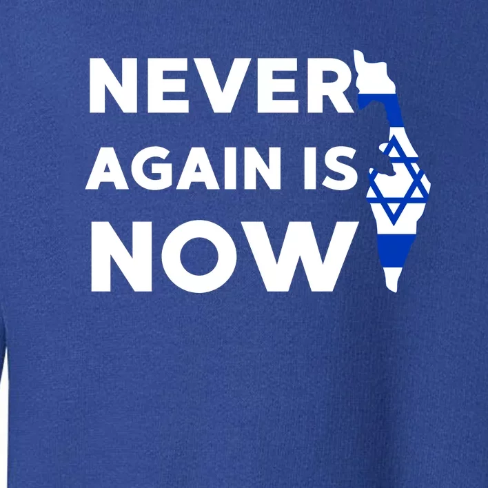 Jewish Israel Pride Am Yisrael Chai Never Again Is Now Toddler Sweatshirt