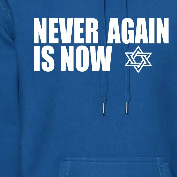 Jewish Israel Pride Am Yisrael Chai Never Again Is Now Premium Hoodie