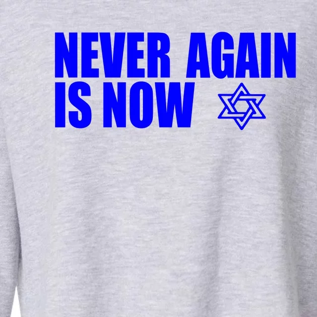 Jewish Israel Pride Am Yisrael Chai Never Again Is Now Cropped Pullover Crew