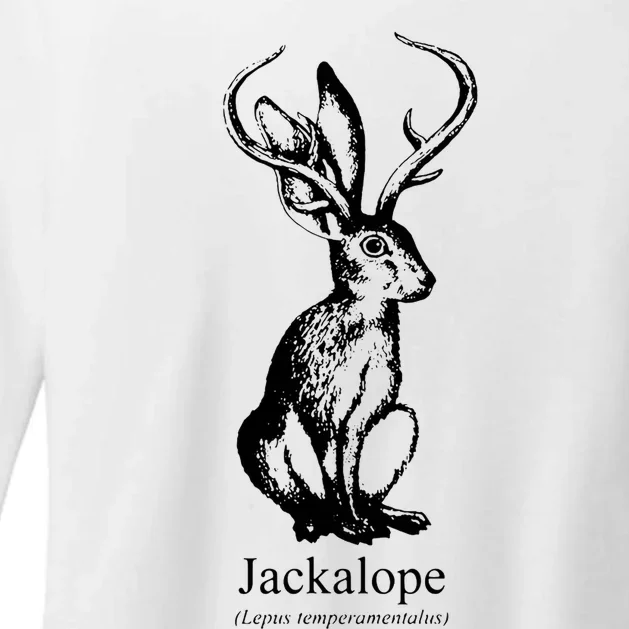 Jackalope Womens CVC Long Sleeve Shirt