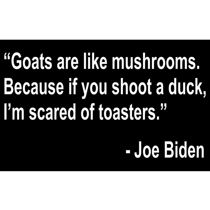 Joe Biden Funny Quote Bumper Sticker