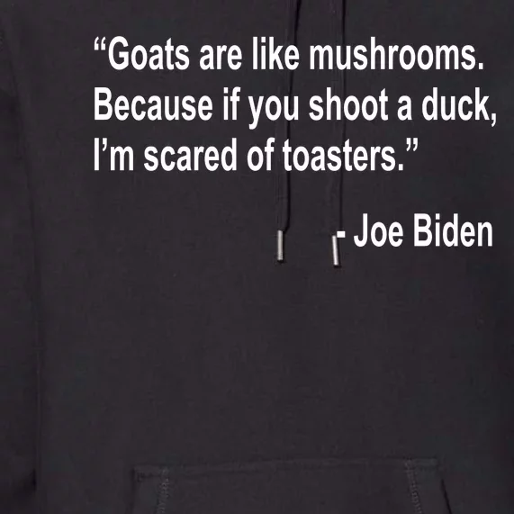 Joe Biden Funny Quote Premium Hoodie