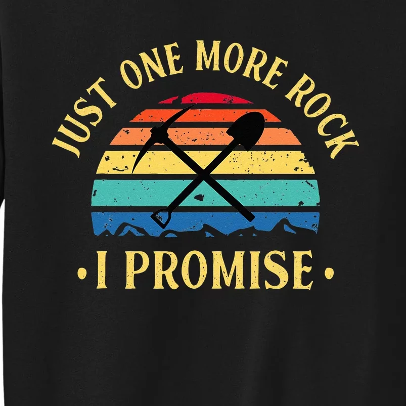 Just One More Rock I Promise Rock Collector Geologist Geode Tall Sweatshirt