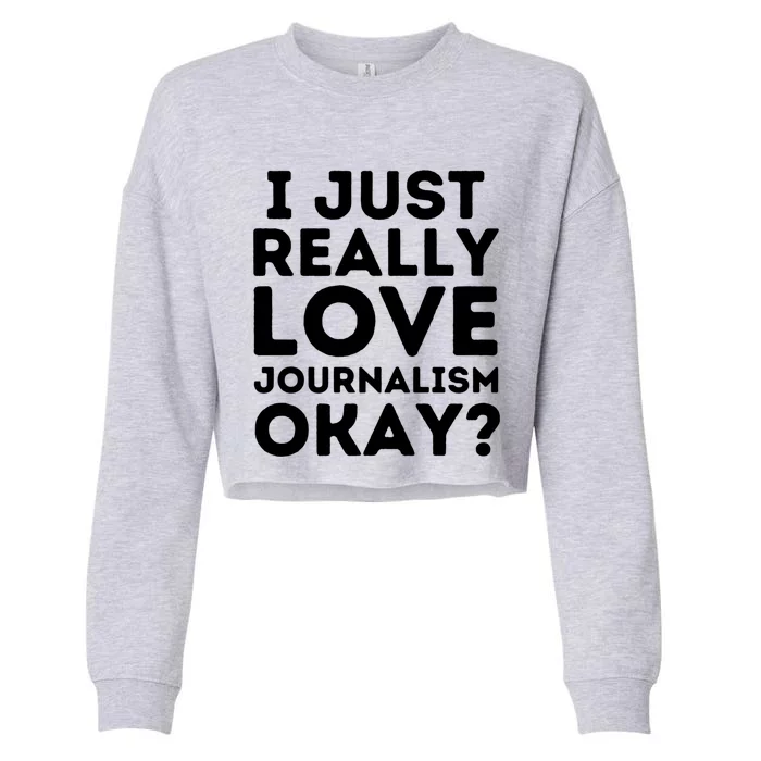 Journalism Professor Funny Journalism Student Journalist Gift Cropped Pullover Crew