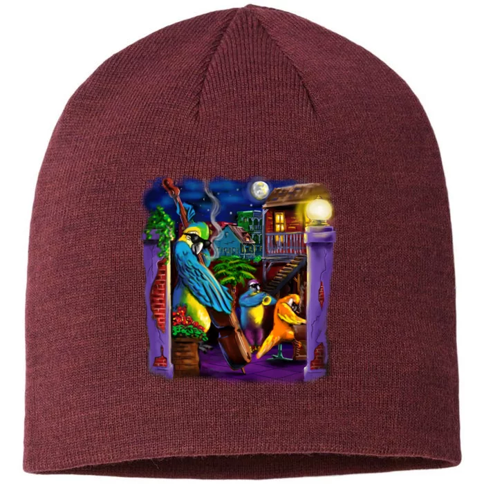 Jazz Parrots 8 1/2in Sustainable Knit Beanie