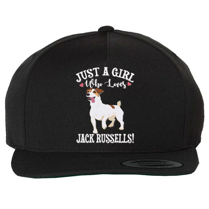 Jack Russell Terrier Love Cute Dog Mom Funny Wool Snapback Cap