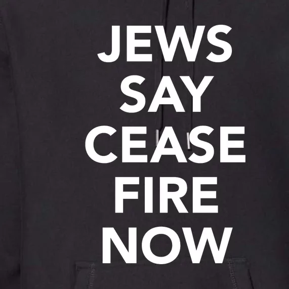 Jews Say Cease Fire Now Costume Premium Hoodie