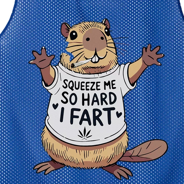 Joke Squeeze Me So Hard I Fart Mesh Reversible Basketball Jersey Tank