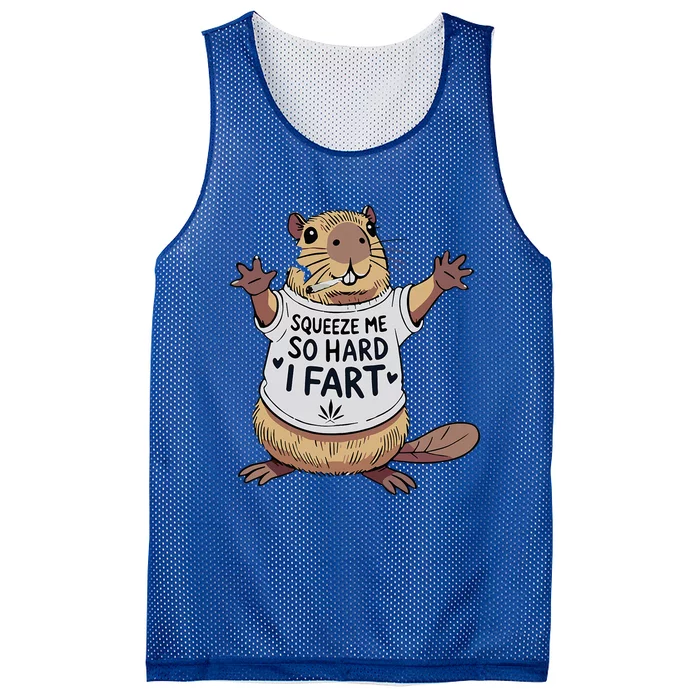 Joke Squeeze Me So Hard I Fart Mesh Reversible Basketball Jersey Tank