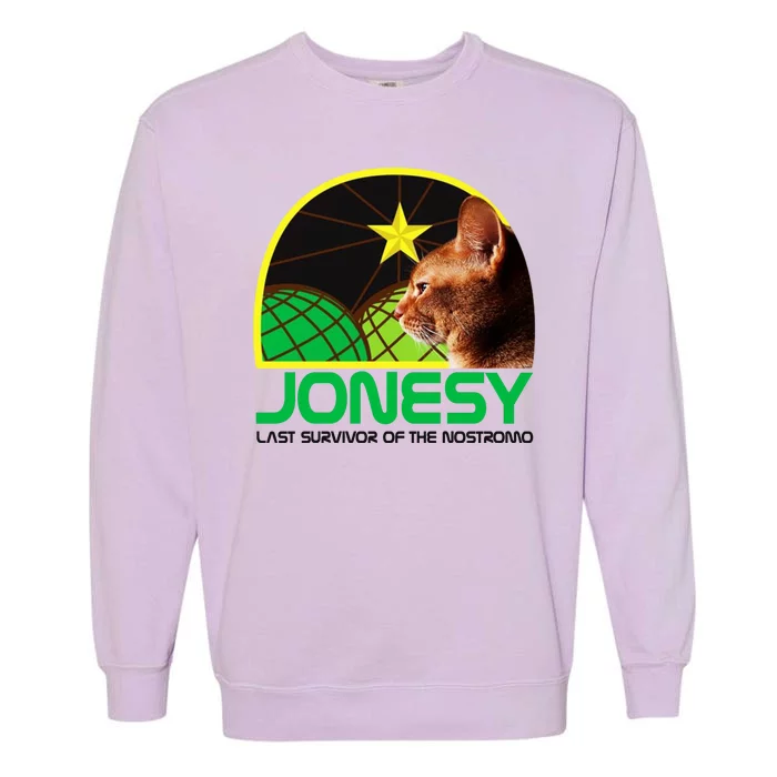 Jonesy The Last Surviving Member Funny Garment-Dyed Sweatshirt