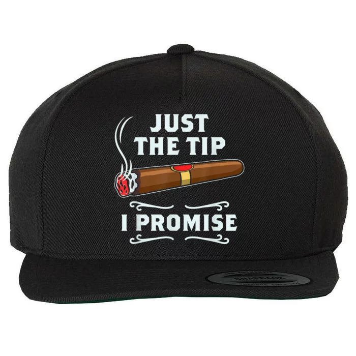 Just The Tip Cigar Smoker Funny Cigar Smoking Wool Snapback Cap