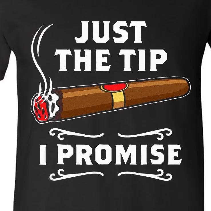 Just The Tip I Promise Cigar Smoker Men Joke Apparel V-Neck T-Shirt