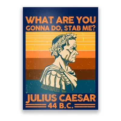 Veni, Vidi, Vici Julius Caesar Quote Poster  Caesar quotes, Quote posters,  Roman quotes