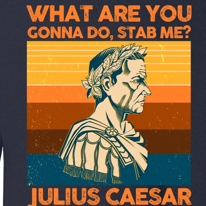 Julius Caesar What Are You Gonna Do Stab Me? Toddler Sweatshirt