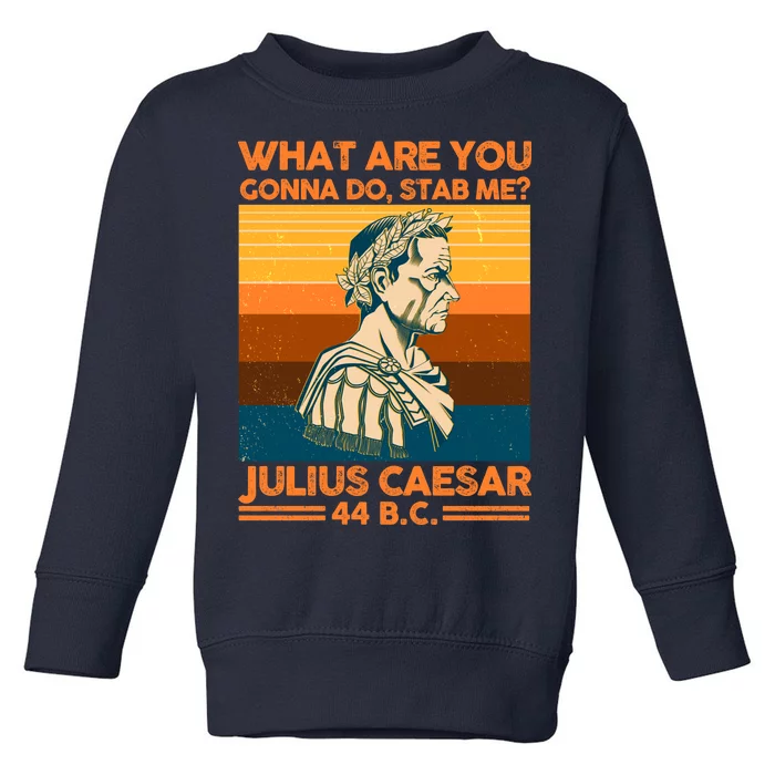 Julius Caesar What Are You Gonna Do Stab Me? Toddler Sweatshirt