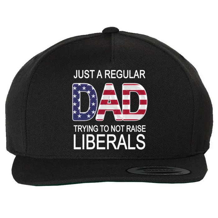 Just a Regular Dad Trying Not To Raise Liberals Wool Snapback Cap