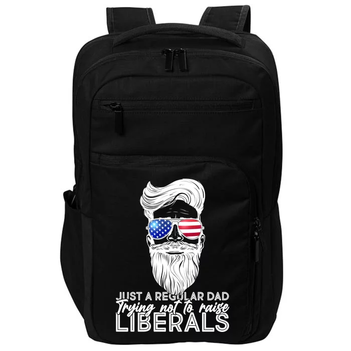 Just A Regular Dad Trying Not To Raise Liberals Hipster Dad Impact Tech Backpack