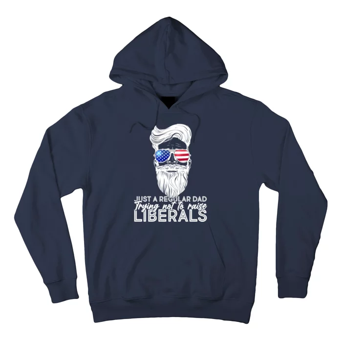 Just A Regular Dad Trying Not To Raise Liberals Hipster Dad Hoodie