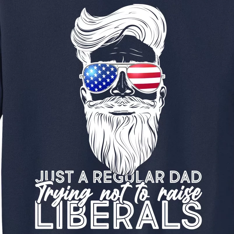 Just A Regular Dad Trying Not To Raise Liberals Hipster Dad Tall Sweatshirt