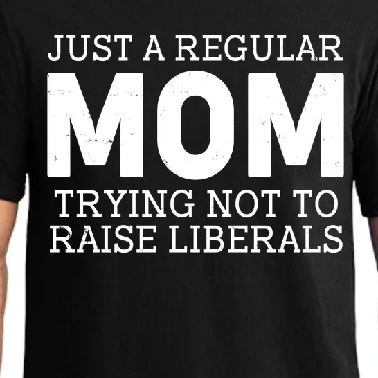 Just A Regular Mom Trying Not To Raise Liberals Pajama Set