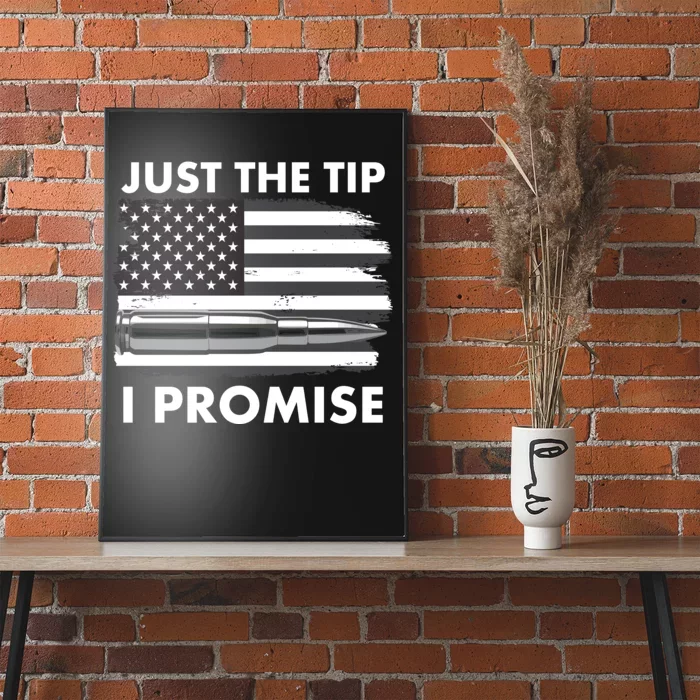 Just the Tip I Promise USA Bullet Flag Poster