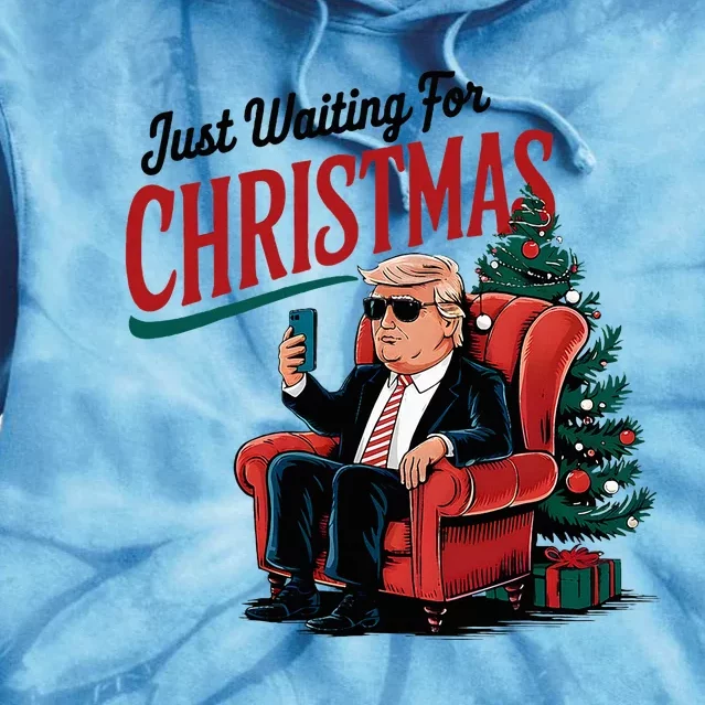 Just Waiting For Christmas Trump Funny Vote For Trump Xmas Tie Dye Hoodie